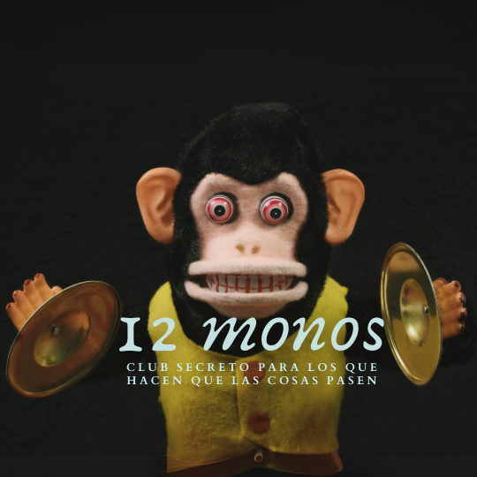 12 monos edición febrero